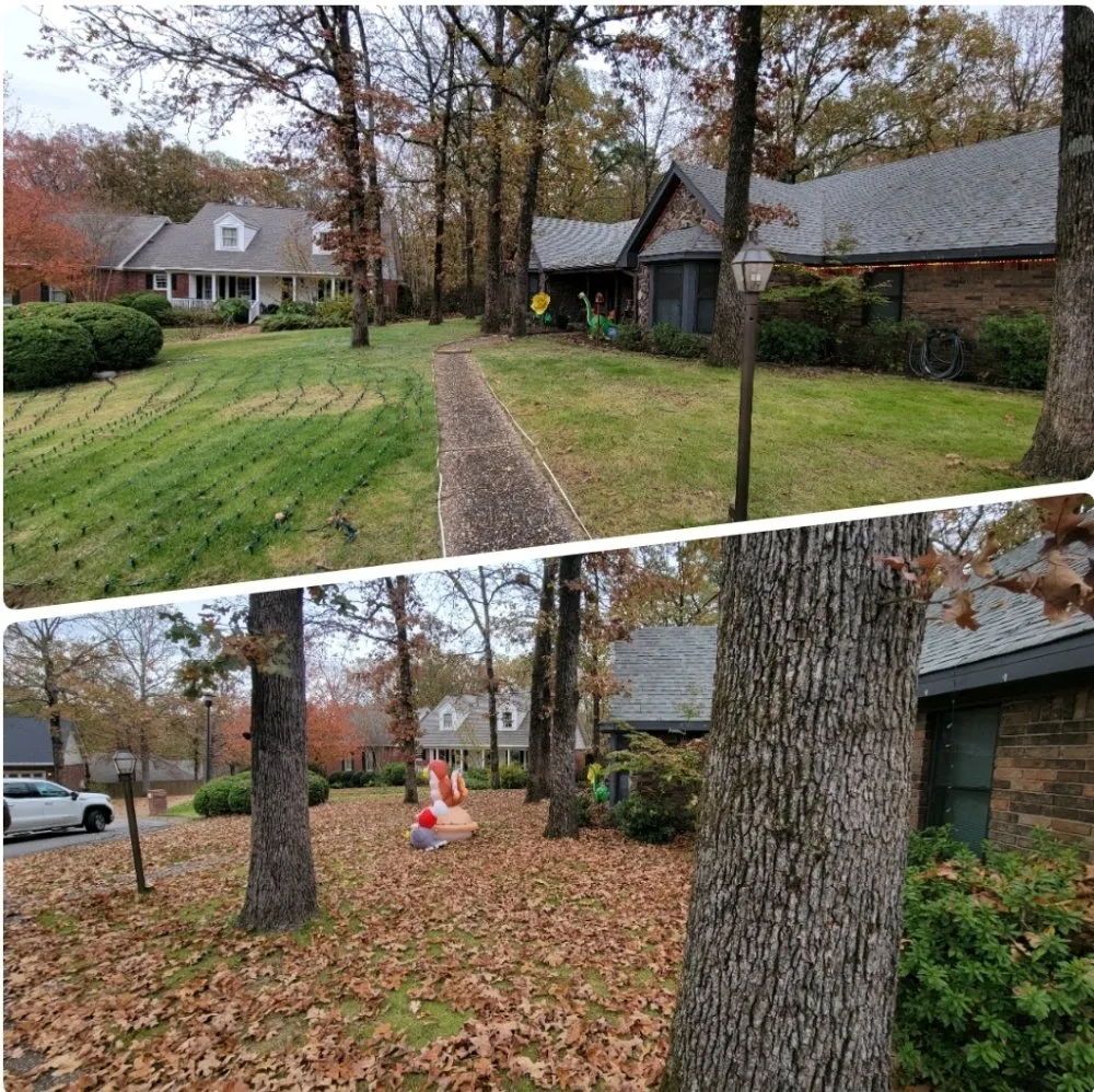 Local outdoor landscaping for residential properties across Hensley, AR - Turf Hawg