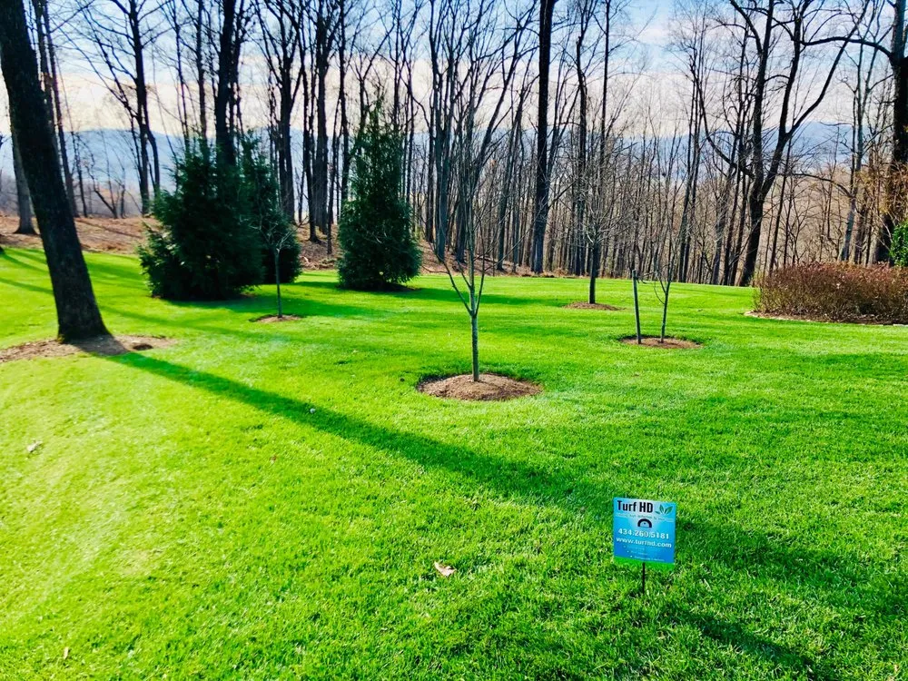 Local yard cleanup service in Charlottesville, VA - Turf HD