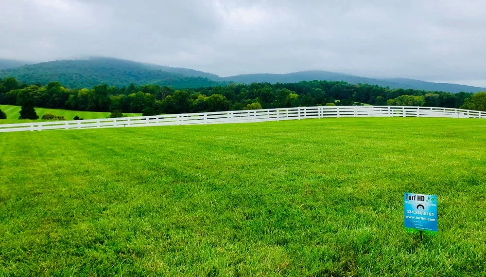 Affordable lawn care service experts serving Charlottesville, VA - Turf HD