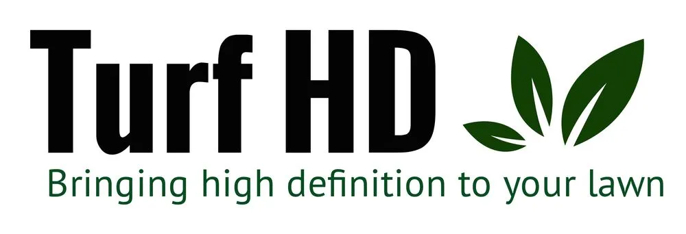 Local yard cleanup service in Charlottesville, VA by Turf HD