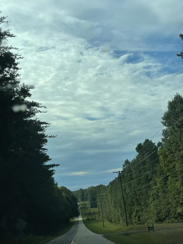 Trusted yard cleanup service experts serving Mebane, NC - Turf Home Care