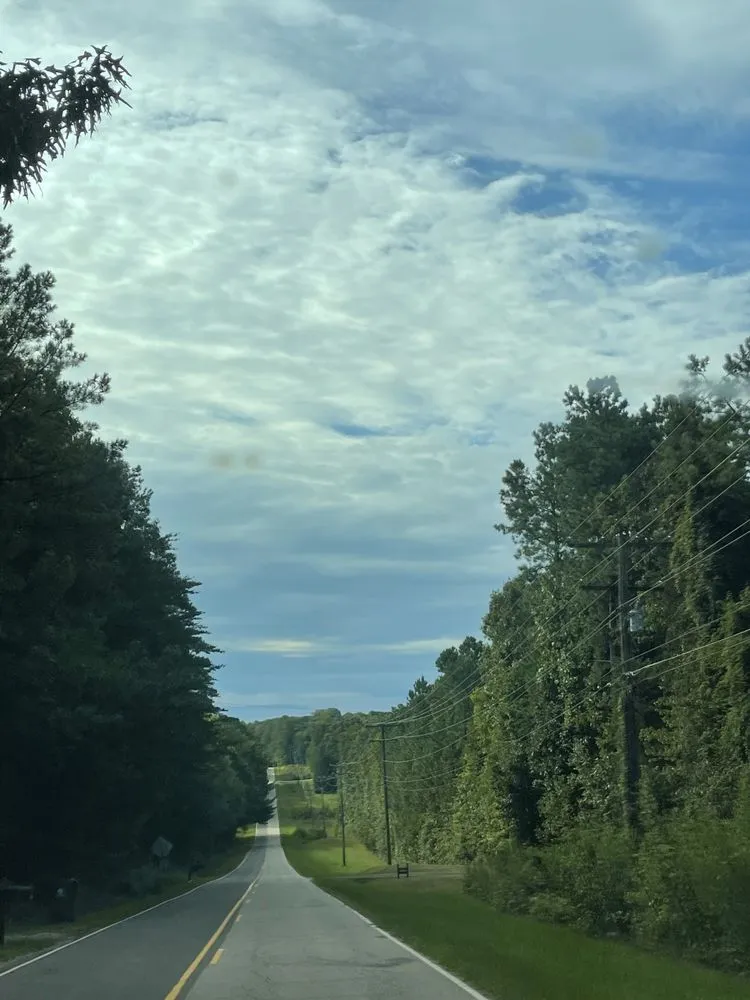 Top-rated yard cleanup service in Mebane, NC by Turf Home Care