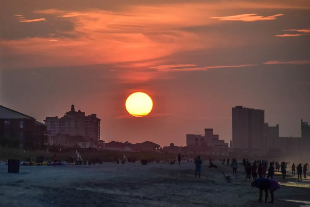 Reliable yard cleanup service in Mebane, NC - Turf Home Care