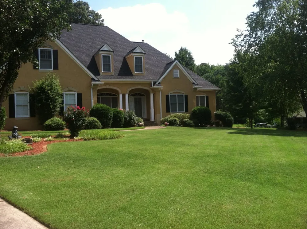 Local lawn care service for homes across Sharpsburg, GA - Turf Image