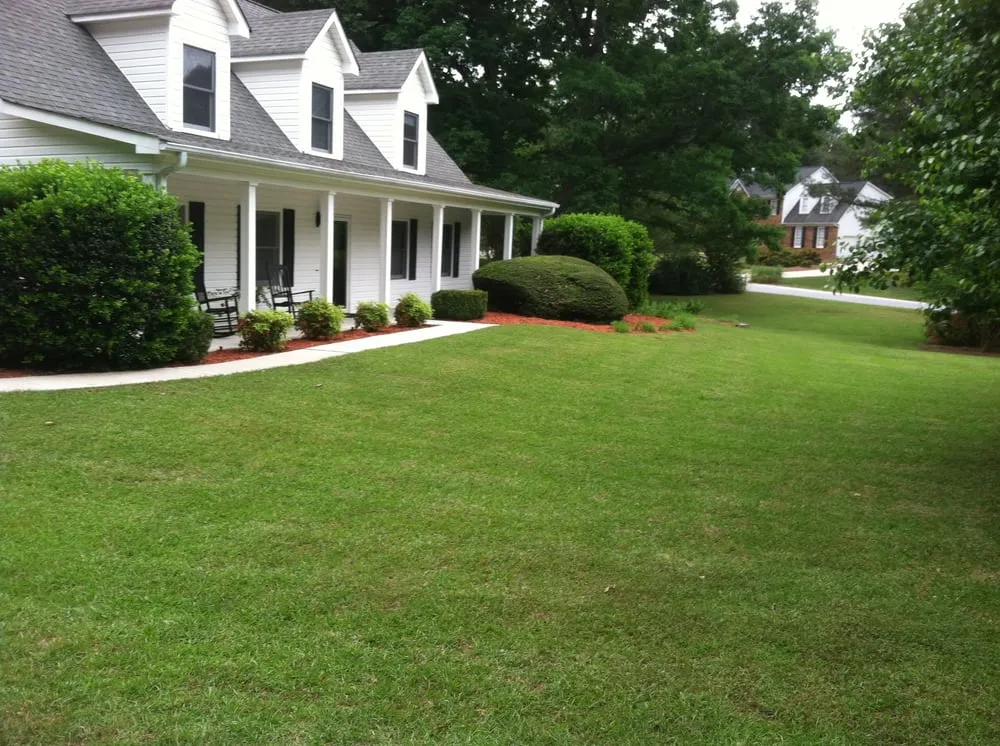 Reliable lawn care service in Sharpsburg, GA - Turf Image
