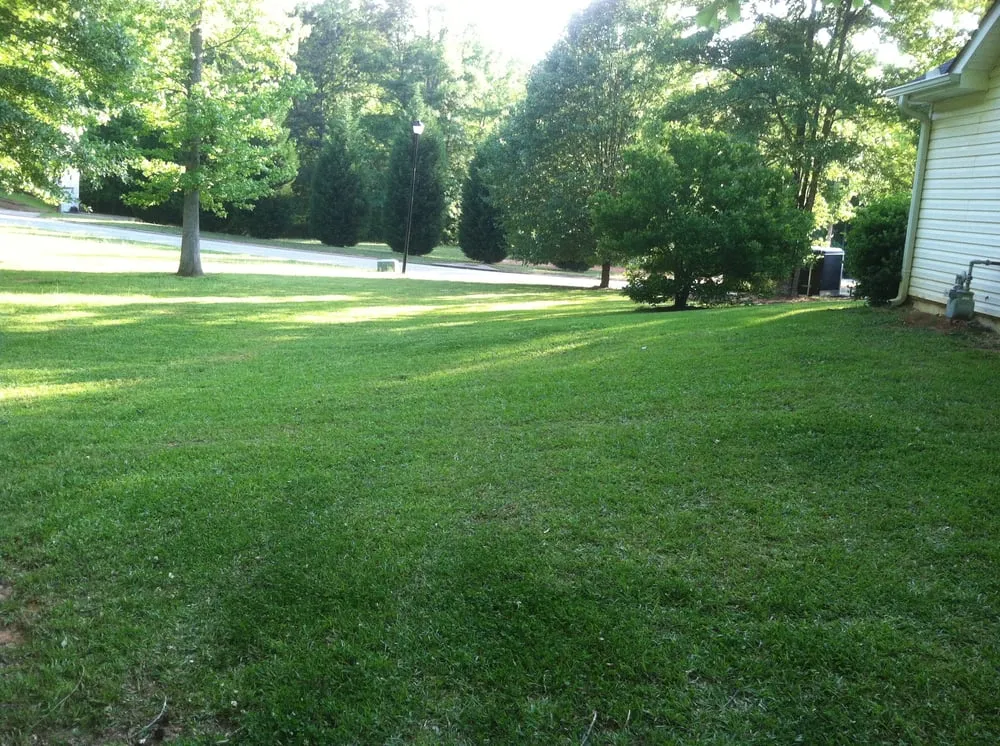 Reliable landscaping services in Sharpsburg, GA - Turf Image