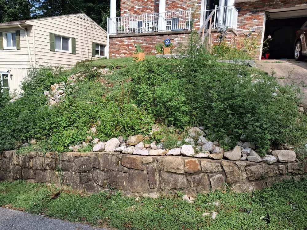 Professional landscape installation for beautiful yards in Charleston, WV by Turf Integrity