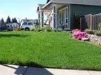 Expert lawn mowing service for year-round maintenance across Franklin Square, NY - Turf King
