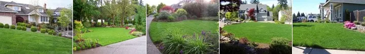 Affordable landscape design for homes across Franklin Square, NY - Turf King