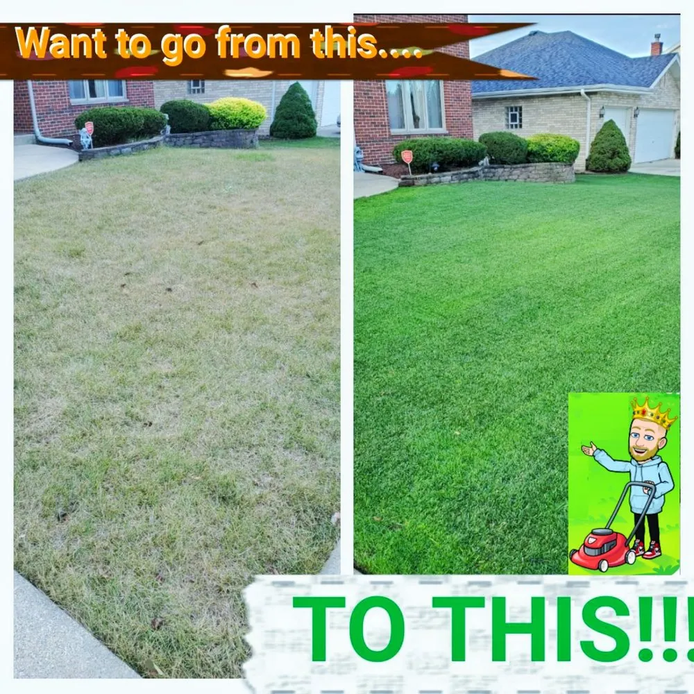 Top-rated landscaping services with custom design across Orland Park, IL - Turf King