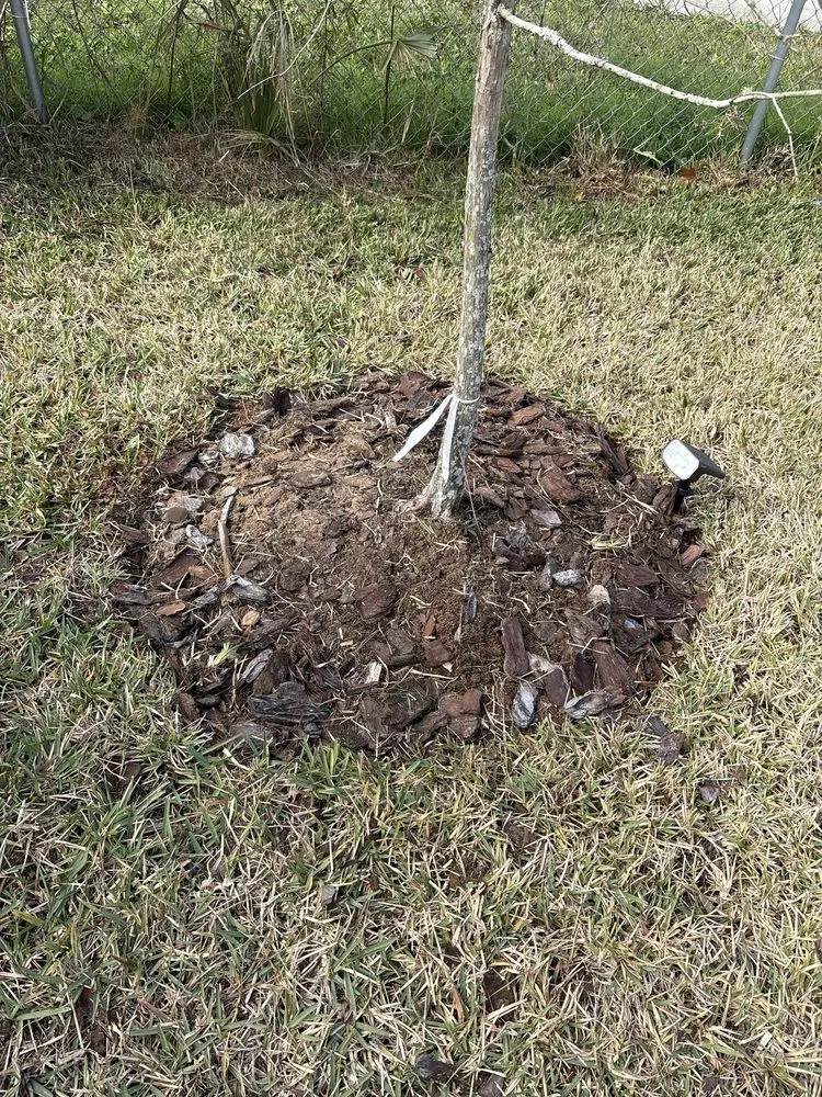 Local outdoor landscaping in St. Augustine, FL - Turf Life Lawn Care