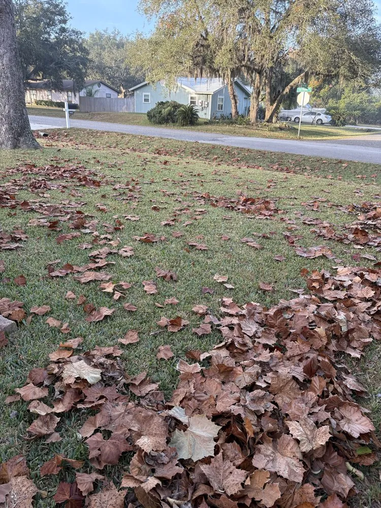 Top-rated lawn care service with custom design in St. Augustine, FL by Turf Life Lawn Care