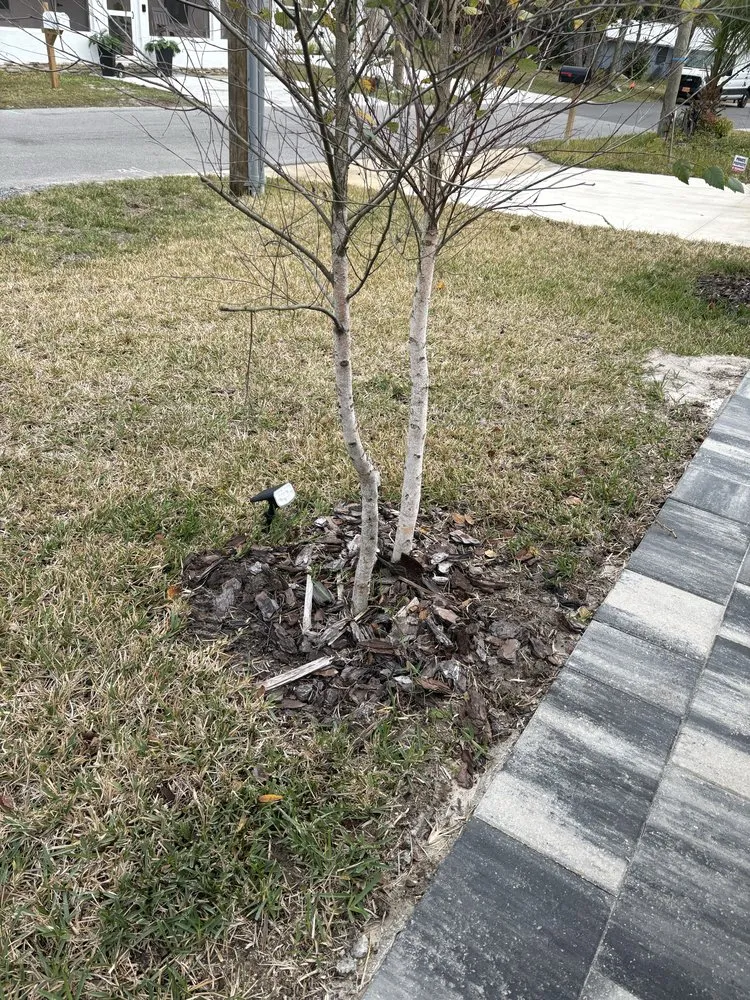 Professional lawn care service in St. Augustine, FL by Turf Life Lawn Care