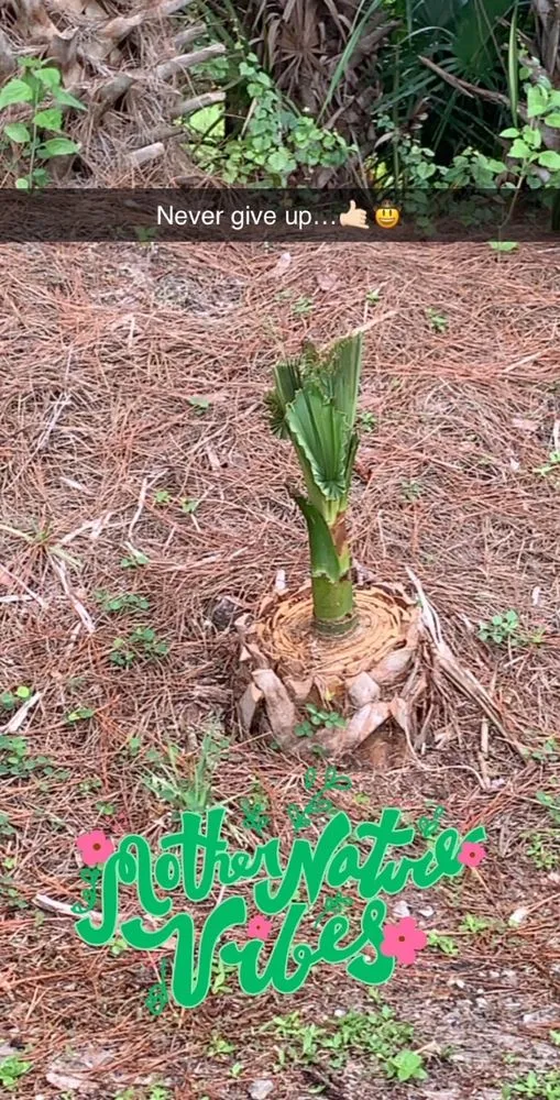 Affordable landscape installation in Jupiter, FL - Turf Life Pest Control