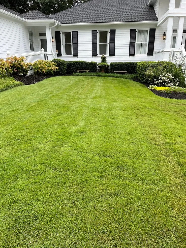 Top-rated outdoor landscaping experts serving Forsyth, GA - Turf Magic