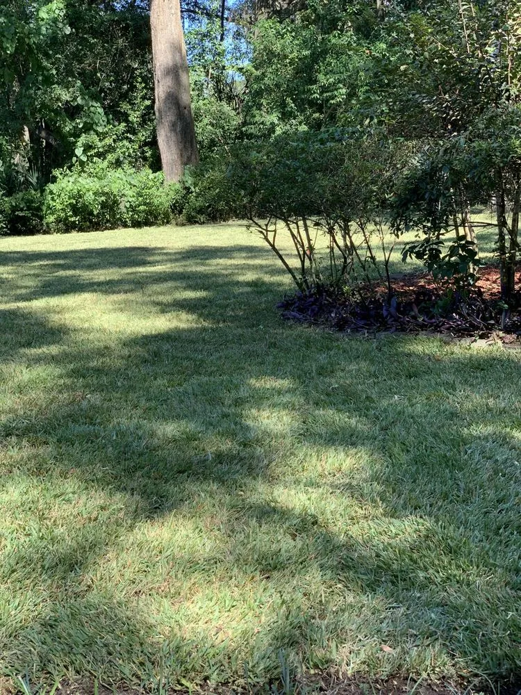 Custom outdoor landscaping in Gainesville, FL - Turf Major Landscaping
