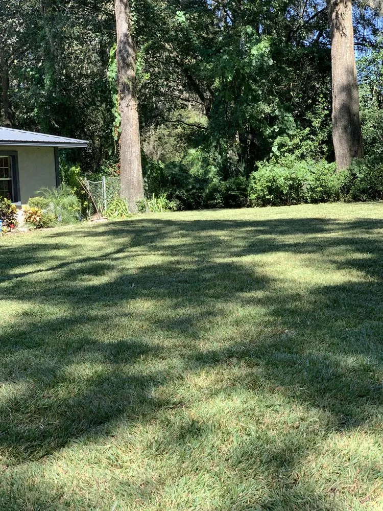 Reliable landscape installation in Gainesville, FL - Turf Major Landscaping