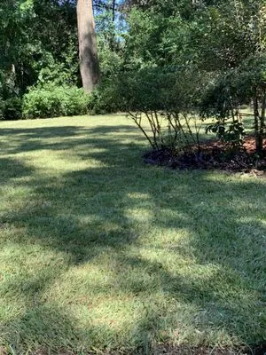 Turf Major Landscaping Logo