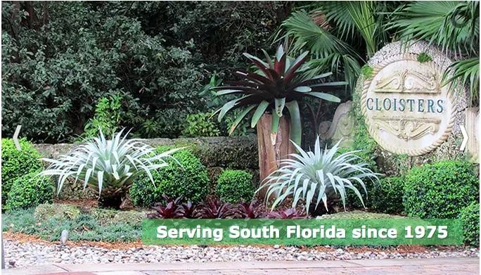 Custom landscape installation experts serving Miami, FL - Turf Management
