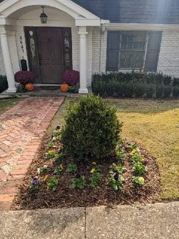 Custom outdoor landscaping in Homewood, AL - Turf Management Systems