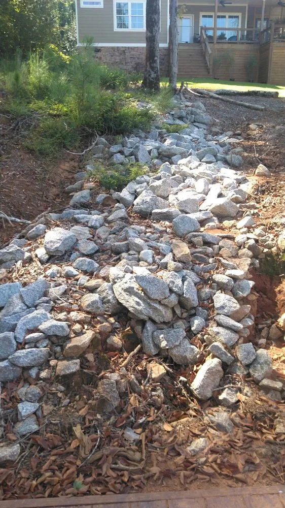 Expert yard cleanup service in Homewood, AL - Turf Management Systems