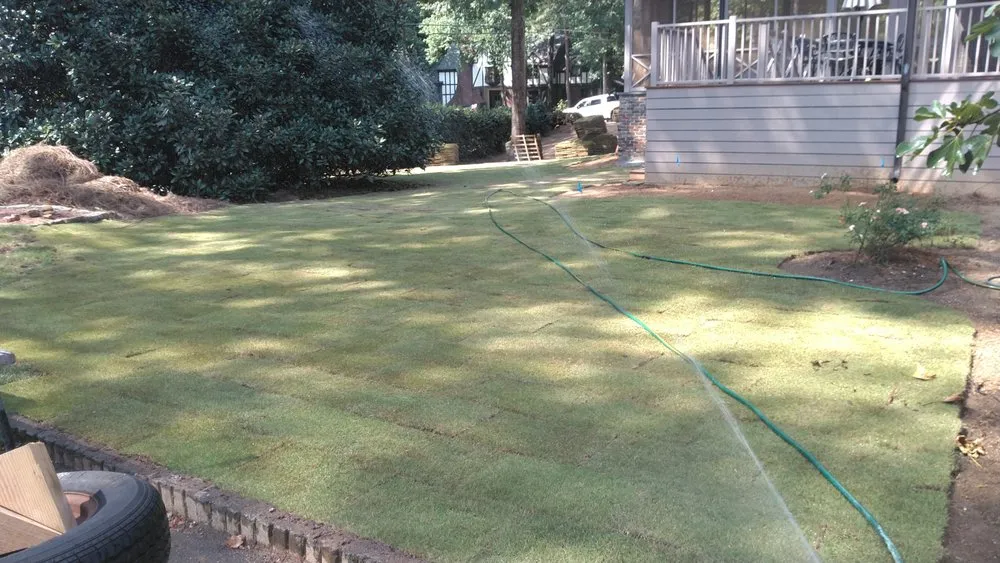 Trusted lawn care service near you across Homewood, AL - Turf Management Systems