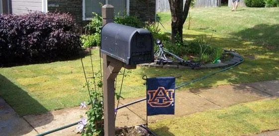 Trusted landscape design near you in Homewood, AL by Turf Management Systems