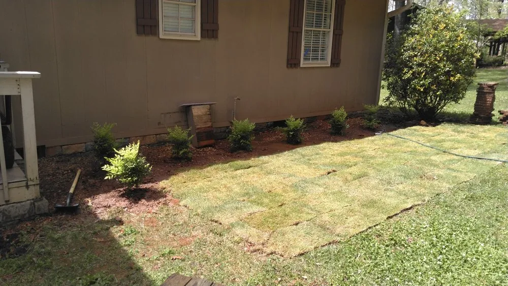 Custom yard cleanup service for residential properties across Homewood, AL - Turf Management Systems