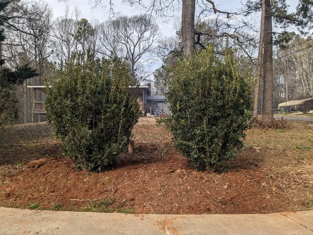 Top-rated yard maintenance for homes across Homewood, AL - Turf Management Systems