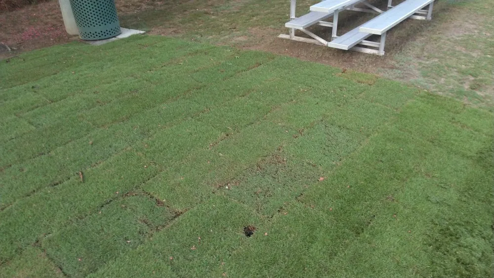 Affordable landscape design near you across Homewood, AL - Turf Management Systems