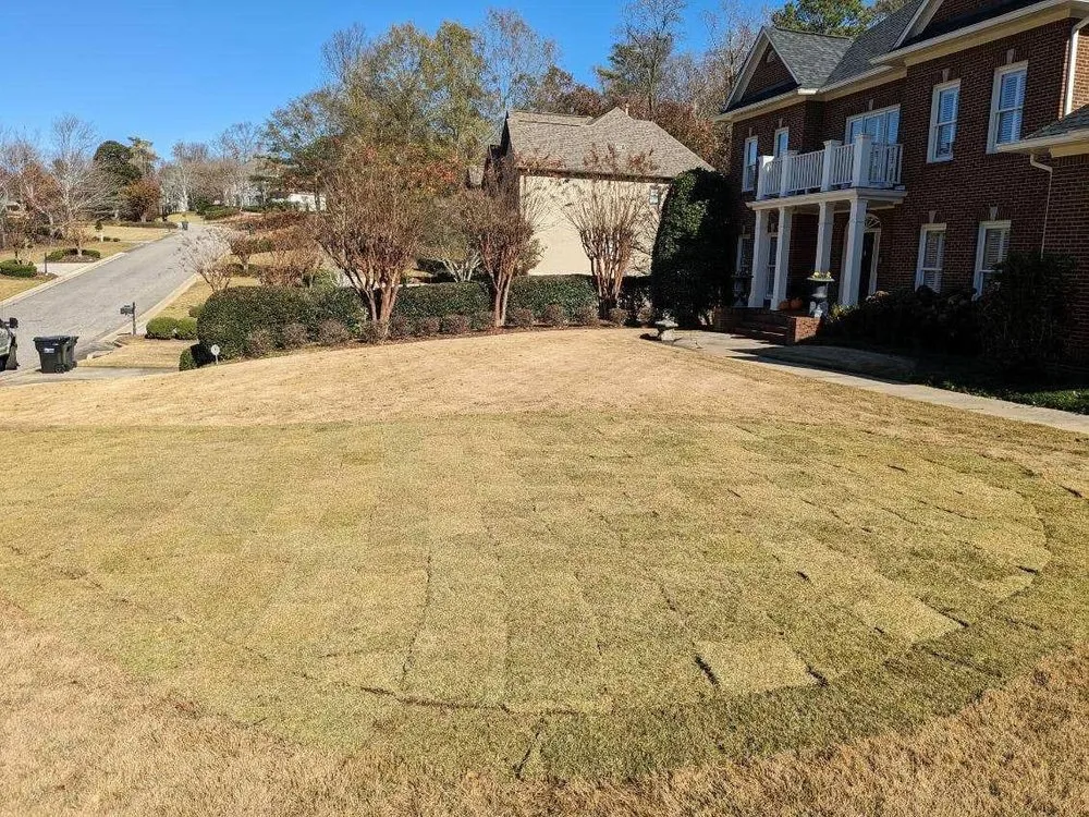 Local landscape installation for homes in Homewood, AL by Turf Management Systems