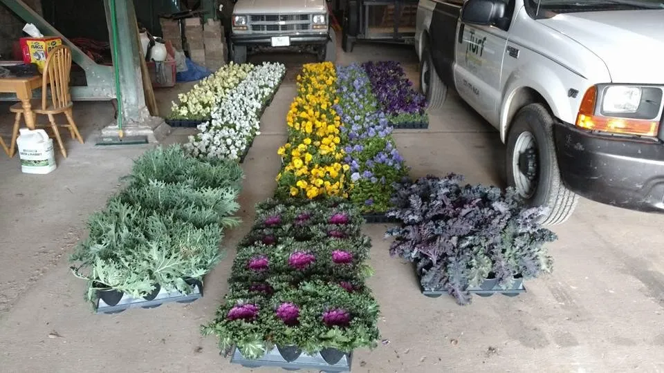 Professional yard cleanup service for residential properties in Homewood, AL by Turf Management Systems