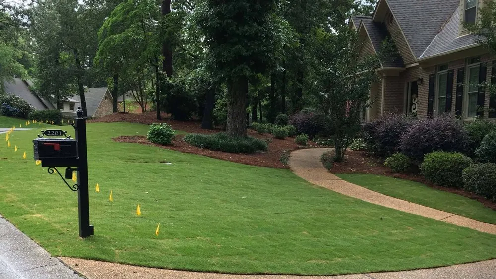 Professional lawn mowing service experts serving Homewood, AL - Turf Management Systems