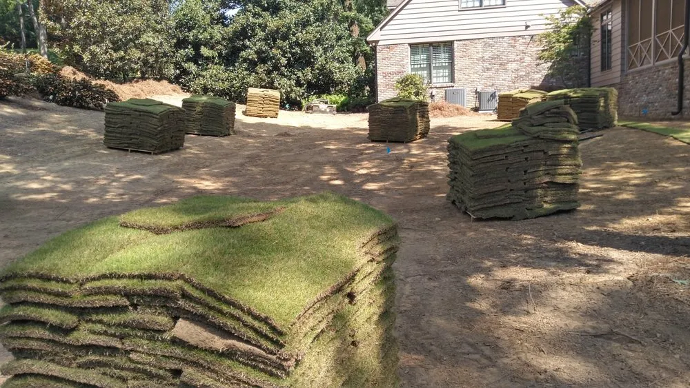 Expert outdoor landscaping in Homewood, AL by Turf Management Systems
