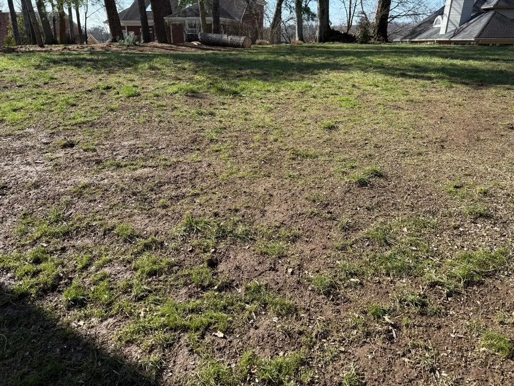 Trusted yard maintenance experts serving Nashville, TN - Turf Managers