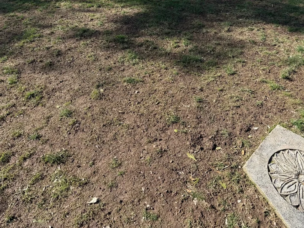 Trusted residential landscaping in Nashville, TN by Turf Managers