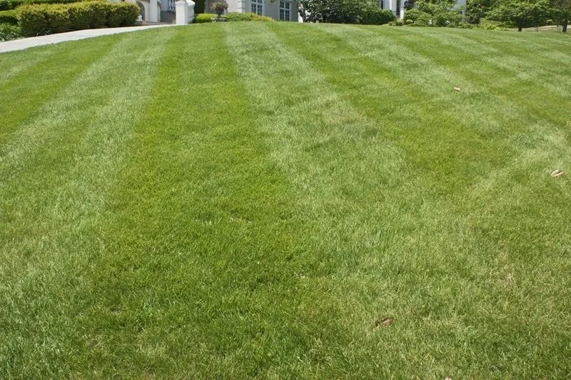 Reliable landscape design for year-round maintenance across Nashville, TN - Turf Managers
