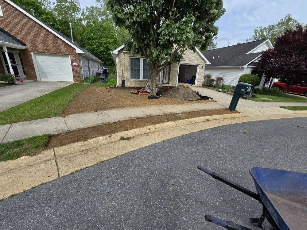 Expert yard cleanup service in Winchester, VA - Turf Mannagement