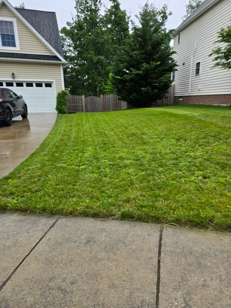 Trusted lawn care service in Winchester, VA by Turf Mannagement