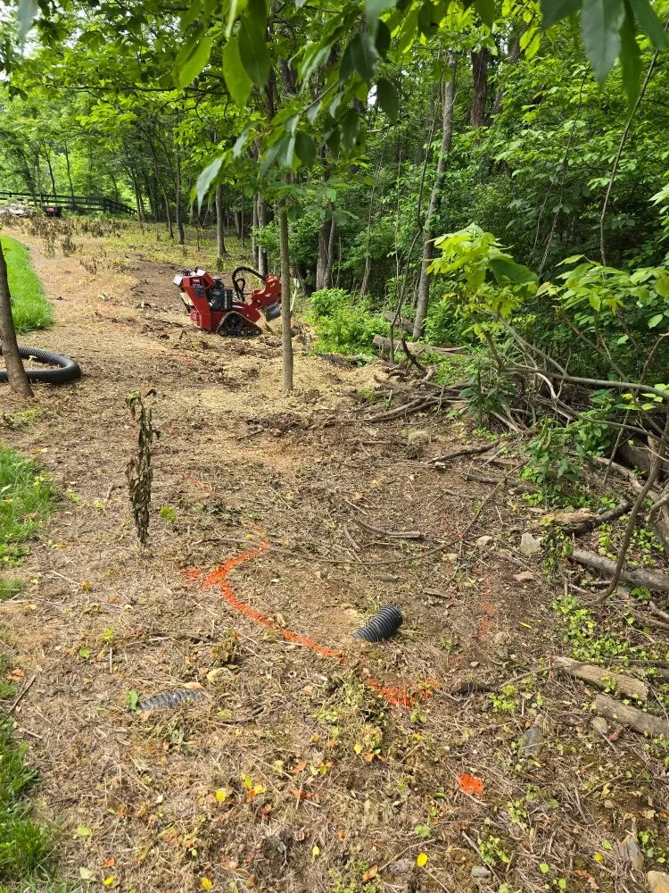 Custom yard maintenance in Winchester, VA by Turf Mannagement