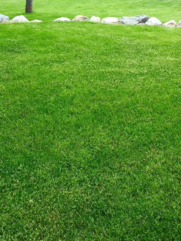 Custom landscape installation with custom design across Colorado Springs, CO - Turf Master