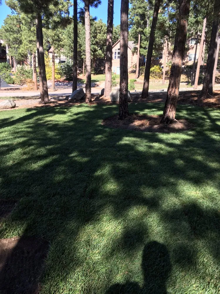 Top-rated landscape installation in Colorado Springs, CO - Turf Master