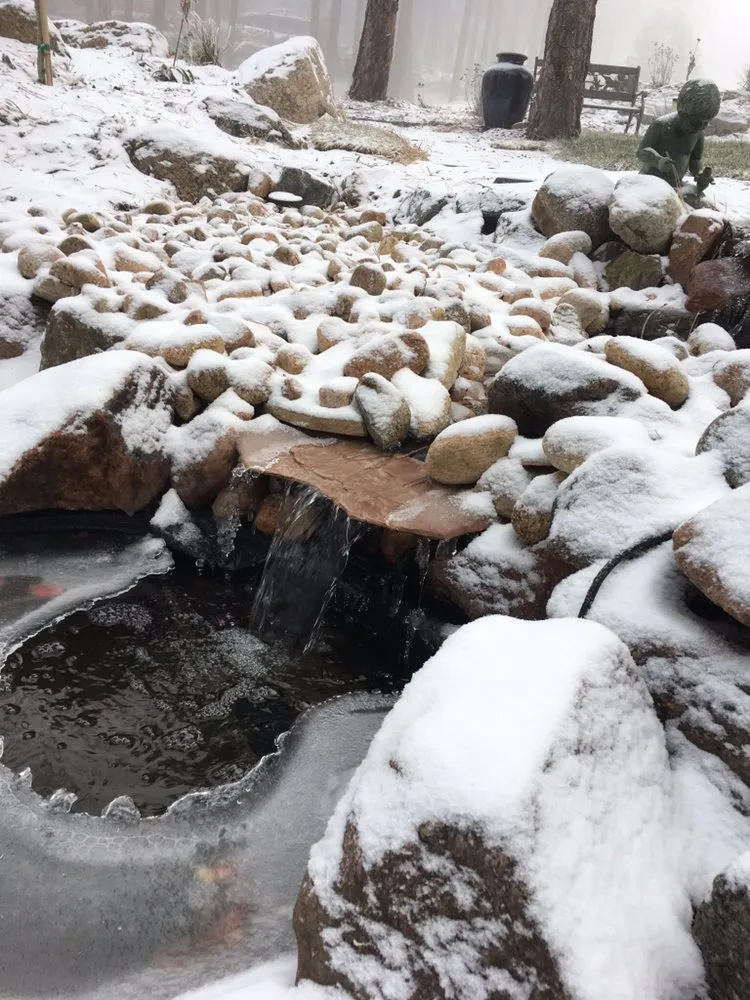 Expert landscape installation with custom design across Colorado Springs, CO - Turf Master