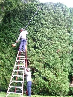 Affordable yard cleanup service in Johnston, RI - Turf Master