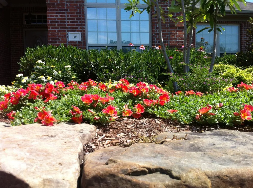 Custom lawn care service experts serving North Little Rock, AR - Turf Master