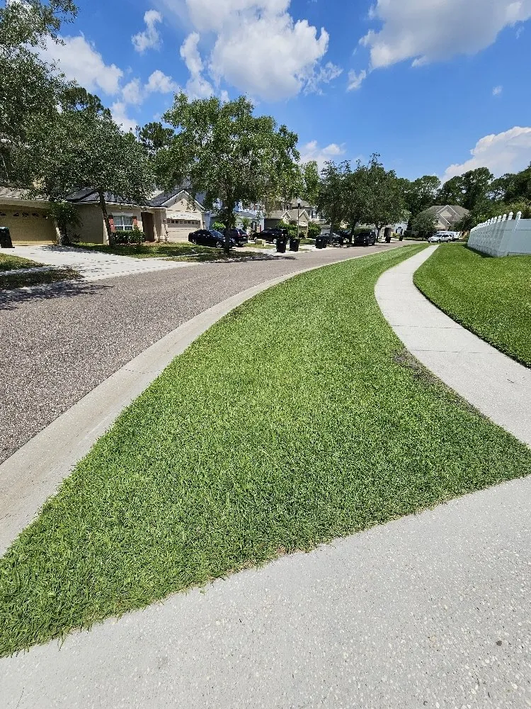 Professional landscaping services experts serving Orlando, FL - Turf Master