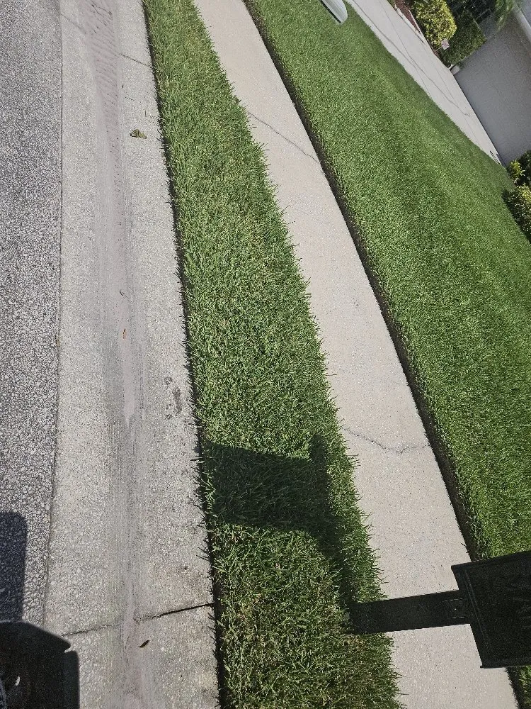 Local outdoor landscaping for residential properties in Orlando, FL by Turf Master