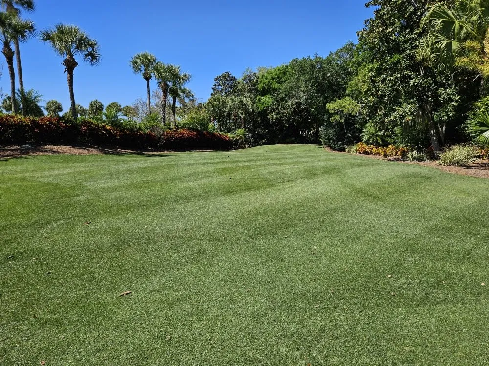 Reliable yard maintenance in Orlando, FL - Turf Master