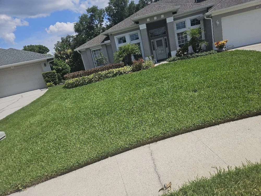 Affordable yard cleanup service for outdoor upgrades in Orlando, FL by Turf Master