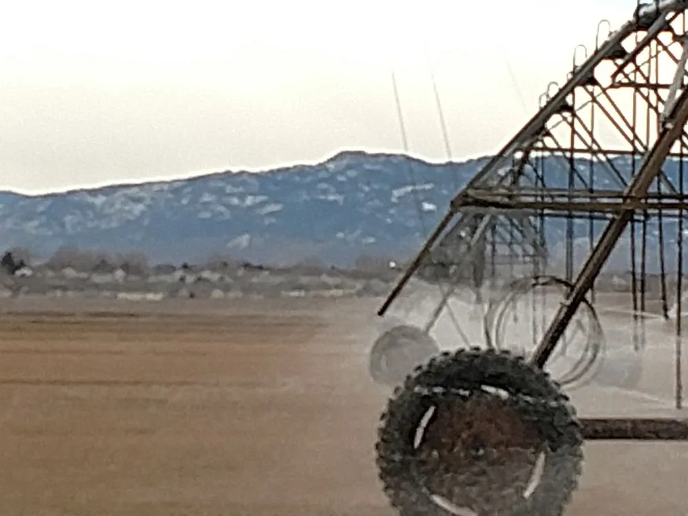 Professional garden landscaping with custom design in Fort Collins, CO by Turf Master Sod Farm